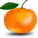 makimikan