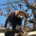 カラオケ好きの自己啓発ブログ