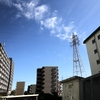 あ〜〜気持ちいい日曜日❤️       晴れる宮崎・気持ちいい宮崎編