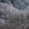 飛騨の雪景色　【中尾温泉】