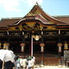 北野天満宮→平野神社→金閣寺