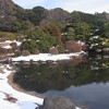 小石川植物園