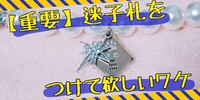 【重要】迷子札をつけて欲しいワケ