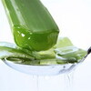 Thoughts On Trouble-Free Advice Of Aloe Vera Gel for Hair