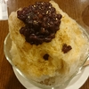 【京都グルメ】マエダコーヒーでかき氷を食べてきました！