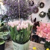 夙川｜花と植物の魅力に触れられる花屋「六翠園」