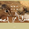 砂漠の本を読みました。～伊坂幸太郎「砂漠」、村山由佳「遥かなる水の音」、美奈子アルケトビ「砂漠の我が家」