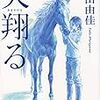 少女が翔ける。力強く。-村山由佳『天翔る』再読了メモ