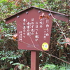 万葉歌碑を訪ねて（その１３１７）―島根県益田市　県立万葉植物園（P２８）―万葉集　巻十一　二七八六