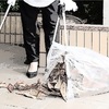 放置しないぞ　という姿勢