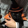 ハロウィン🎃