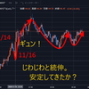 【しし座流星群】続伸の波に乗る方法-トライオートETF【そんなドラマがあったっけな】