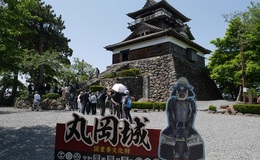 記事を見る