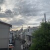 きなこ、普通の一日を過ごす
