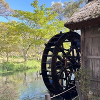 水星逆行で起きやすいトラブルと対策。「いつも通り」過ごせる日々に感謝を。