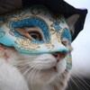 ネズミの末路になりたくないなら