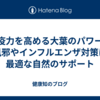 免疫力を高める大葉のパワー：風邪やインフルエンザ対策に最適な自然のサポート