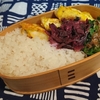 ささみのピカタ弁当