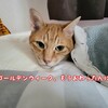 それは優しい重さなのかもしれないと思った日