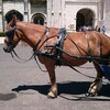 正露丸テロリストを撲滅したい
