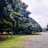 御苑の緑と茅の輪くぐり