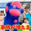 5月21日の動画