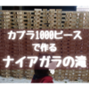 【カプラ作品集⑳】カプラ1000ピースで作るナイアガラの滝