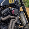 パーツ：Limitless Customs「Limitless Dueling Serpents」
