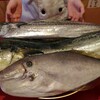 本日入荷のお魚さん！ヽ(^。^)ノ