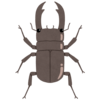 クワガタのフリーイラスト素材
