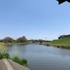 バス釣り in びん沼川