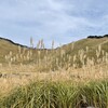 2021奈良天川旅日記　その１　曽爾高原まで