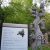 【野木町】野木神社【初詣にどうぞ】