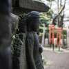 【７９】文京区根津　根津神社つつじまつり