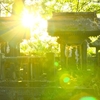 神社の裏っかわにひっそりと　豊後高田市森　貴船神社の庚申塔