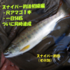 令和４年のスナイパー釣行（その38）