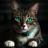 【engoo.com】Study Says Cats React to Sound of Their Names