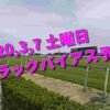 2020,3,7 土曜日 トラックバイアス予想 (中山競馬場、阪神競馬場、中京競馬場)