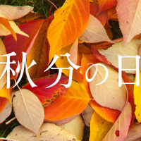 日本のゆずは英語で 冬至で欠かせないゆずを外国人に説明しよう ネイティブキャンプ英会話ブログ