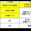 24年9月の予想と正誤振り返り＋10月の今後の見通し