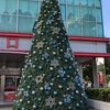 台湾でクリスマス