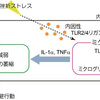 じじぃの「科学・地球_578_心の病の脳科学・慢性ストレス・うつ病」