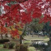 2025.11.27　かつらぎ～松見公園～民家園