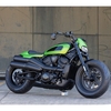 パーツ：Rick's Motorcycles「Sportster S Design Premium Series」