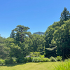 ウォーキング！太閤山ランド！