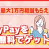 無料でPayPayをゲットする(貯める)方法！