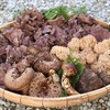 肴の天然きのこ料理　【きのこ狩り】