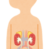 腎臓病の食事療法