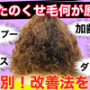 【くせ毛】あなたのくせ毛の原因は？改善方法を解説【縮毛専門】