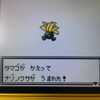 色違いポケモン紹介 Usum産 テッカグヤ 自由に生きてあそblog